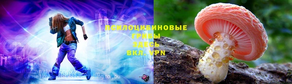 ГАЛЛЮЦИНОГЕННЫЕ ГРИБЫ Армянск