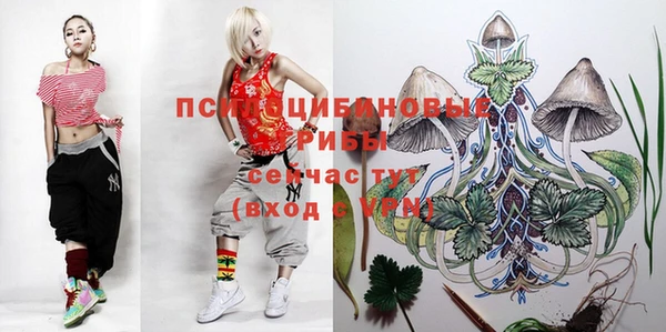 ГАЛЛЮЦИНОГЕННЫЕ ГРИБЫ Армянск