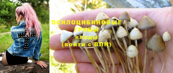 ALPHA PVP Аркадак