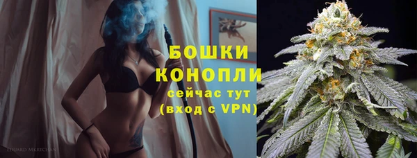 ALPHA PVP Аркадак